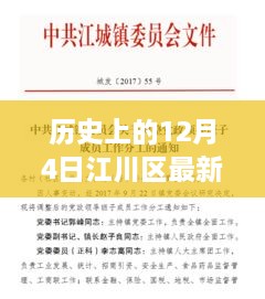 江川區(qū)人事任免深度解析，歷史背景、特性分析、競品對比與用戶群體洞察