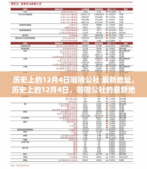 歷史上的12月4日，啪啪公社的最新地址及其背后的故事揭秘（科普文章）