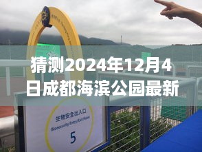 探秘時光角落，成都海濱公園2024年12月4日的最新動態(tài)與溫馨日常揭秘