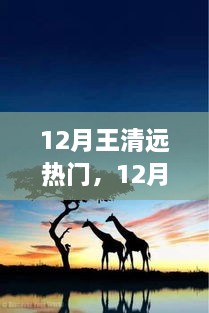 追尋自然之旅，王清遠(yuǎn)在十二月的腳步與心靈之旅