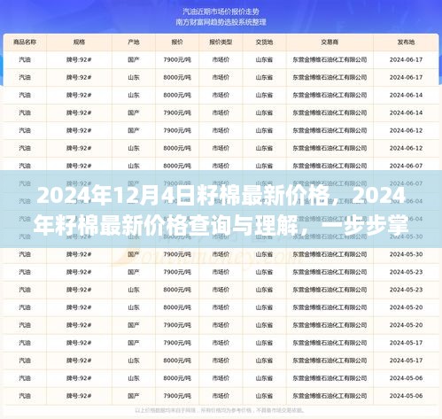 2024年12月4日籽棉最新價(jià)格，2024年籽棉最新價(jià)格查詢與理解，一步步掌握行情分析技能