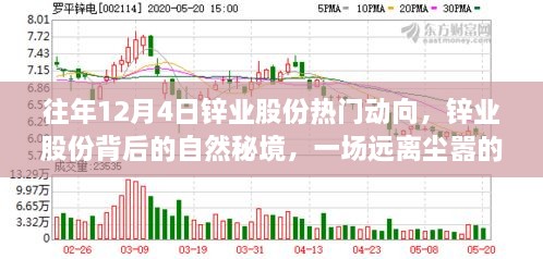 鋅業(yè)股份背后的自然秘境，一場遠離塵囂的心靈之旅揭秘往年12月4日熱門動向