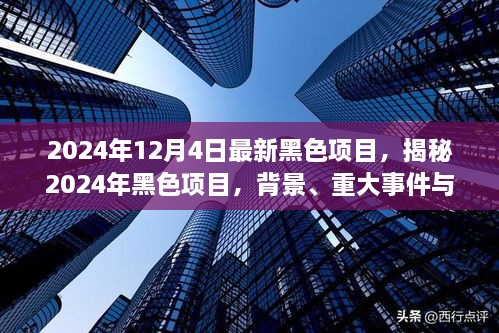 揭秘，2024年黑色項目的背景、重大事件與深遠影響全解析