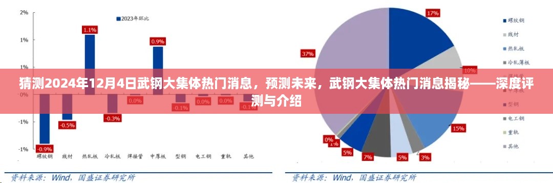 揭秘武鋼大集體未來熱門消息，深度評測與預(yù)測報告（2024年12月4日版）