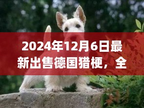 最新德國(guó)獵梗犬全面評(píng)測(cè)與出售信息，特性、競(jìng)品對(duì)比及目標(biāo)用戶分析（2024年最新版）