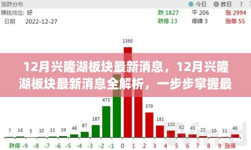 掌握興隆湖板塊最新動態(tài)，全面解析十二月最新消息