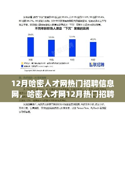 哈密人才網12月熱門招聘信息解讀，市場新動向與求職策略深度探討