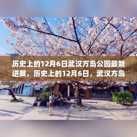 武漢方島公園最新進(jìn)展深度解析，歷史上的12月6日回顧與進(jìn)展報(bào)告