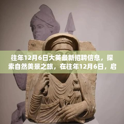 往年12月6日，最新招聘信息與自然美景探索之旅的雙重驚喜，啟程尋找工作與心靈的寧?kù)o