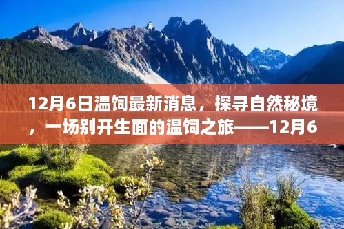 揭秘自然秘境，一場(chǎng)別開(kāi)生面的溫飼之旅最新消息（12月6日）