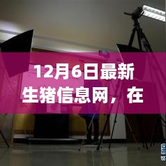 云端豬事，最新生豬信息小記（12月6日）