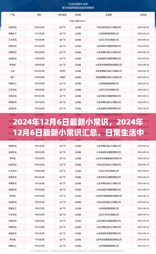 2024年12月6日最新小常識一覽，日常生活中的新奇知識匯總