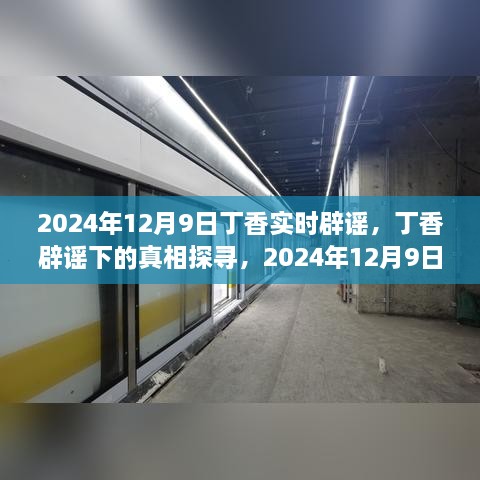 2024年視角下的丁香實(shí)時(shí)辟謠，探尋真相之旅