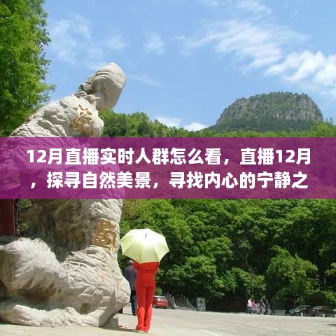 12月直播探尋自然美景，探尋內(nèi)心寧?kù)o之旅的實(shí)時(shí)觀眾洞察