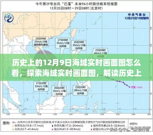 2024年12月10日 第52頁