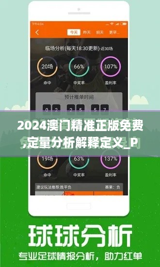 2024澳門(mén)精準(zhǔn)正版免費(fèi),定量分析解釋定義_Premium6.465