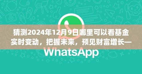 見證未來財富增長，把握基金實時變動之旅，2024年12月9日揭曉！