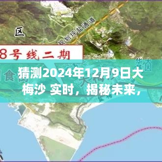 揭秘大梅沙海域未來生態(tài)與環(huán)境展望，2024年12月9日海洋生態(tài)實時揭秘