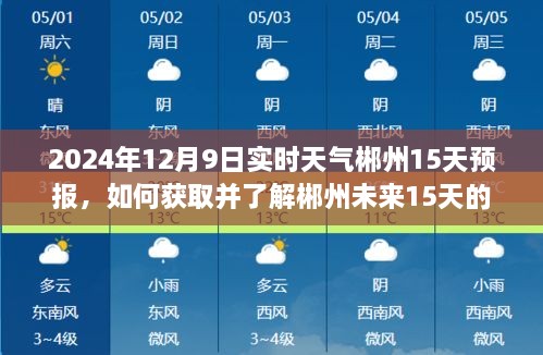 初學(xué)者指南，如何獲取并了解郴州未來15天的實(shí)時(shí)天氣預(yù)報(bào)——2024年12月9日及未來天氣速覽