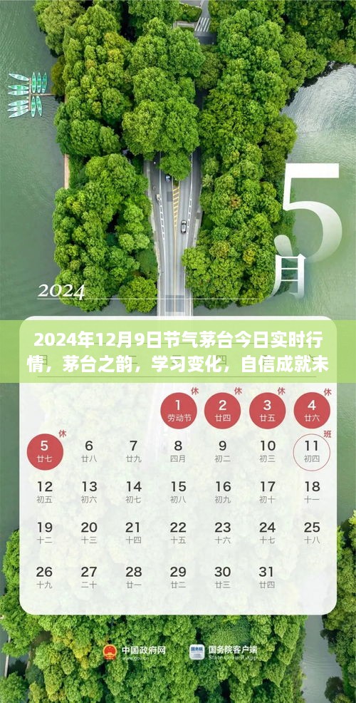 茅臺(tái)之韻，2024年12月9日實(shí)時(shí)行情啟示錄，洞悉變化，自信筑夢(mèng)未來