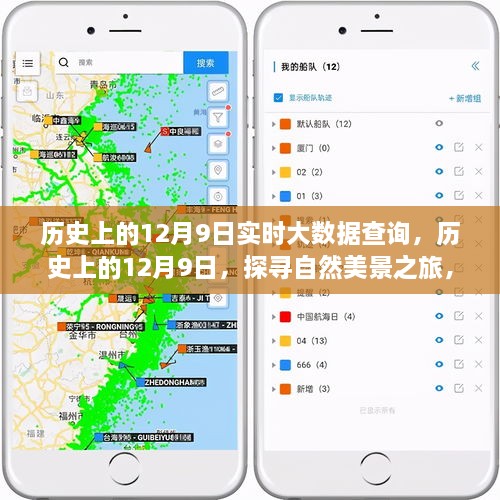 探尋自然美景之旅，歷史上的12月9日實(shí)時(shí)大數(shù)據(jù)查詢之旅，啟程尋找內(nèi)心的寧靜與平和
