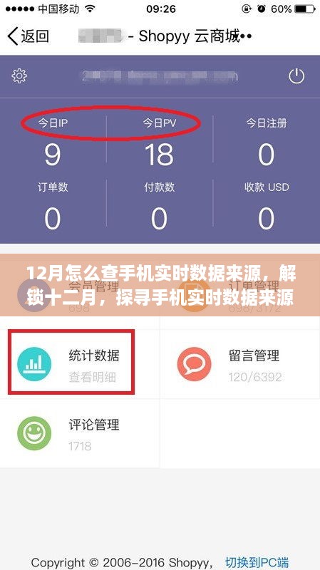 探尋手機(jī)實(shí)時(shí)數(shù)據(jù)來源的奧秘，十二月開啟自信與成就之旅的指南