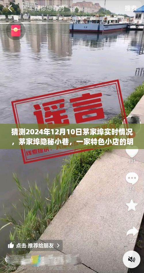 茅家埠隱秘小巷特色小店，明日探秘之旅揭秘2024年12月10日實(shí)時情況