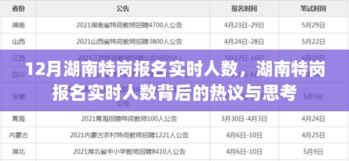 湖南特崗報名實(shí)時人數(shù)熱議與思考，背后的真相與啟示
