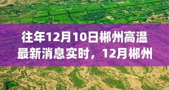 尋找內(nèi)心平靜的旅程，郴州高溫下的綠色奇跡與實(shí)時(shí)消息