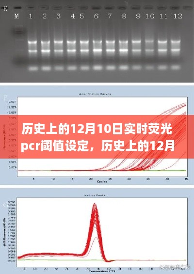 歷史上的12月10日，實時熒光PCR閾值設(shè)定的探索之旅