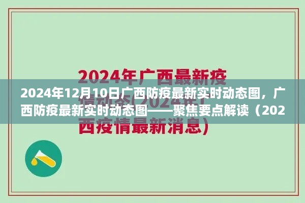 廣西防疫最新實時動態(tài)圖解讀（聚焦要點，時間，2024年12月10日）