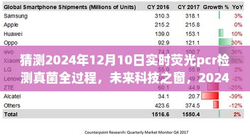 揭秘未來(lái)科技之窗，2024年實(shí)時(shí)熒光PCR檢測(cè)真菌全過(guò)程展望與解析