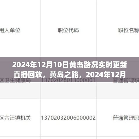 2024年12月10日黃島路況實錄與深度解讀，實時更新直播回放