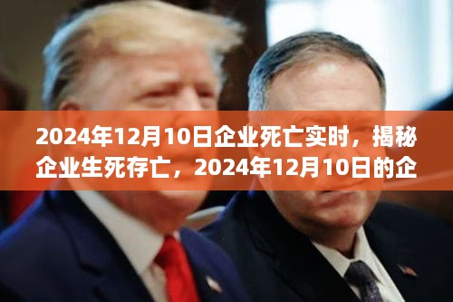 揭秘企業(yè)生死存亡，企業(yè)死亡實(shí)時(shí)真相揭秘（2024年12月10日）