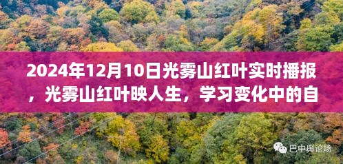 光霧山紅葉映人生，自信與成就之旅的實時播報（2024年12月）