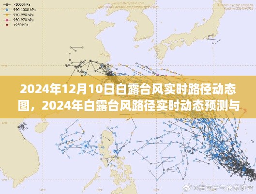 2024年白露臺風實時路徑動態(tài)圖及預(yù)測影響分析