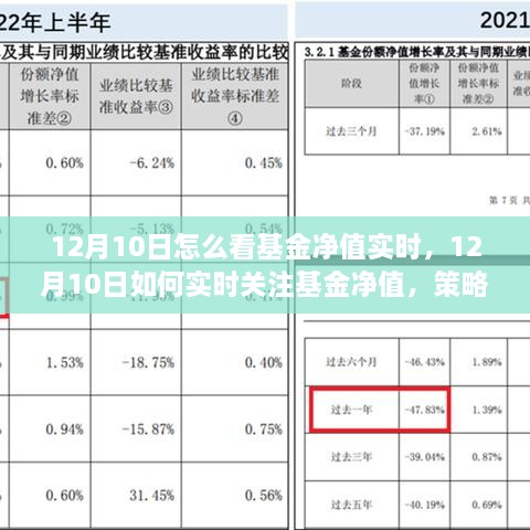 12月10日基金凈值實時關(guān)注策略與技巧，如何掌握基金動態(tài)