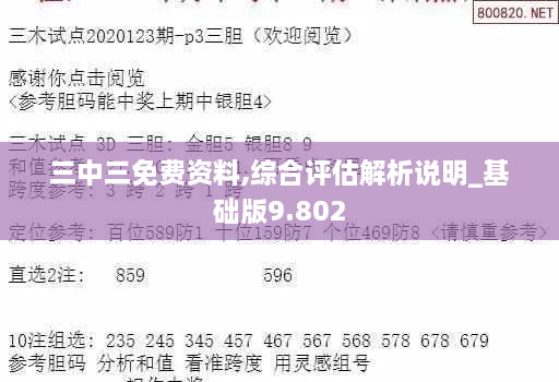 三中三免費資料,綜合評估解析說明_基礎版9.802