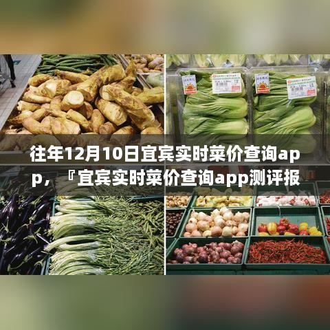 宜賓實時菜價查詢app歷年功能深度解析與用戶體驗洞察測評報告，宜賓歷年菜價變遷一覽無余！