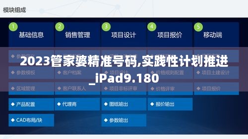 2023管家婆精準號碼,實踐性計劃推進_iPad9.180