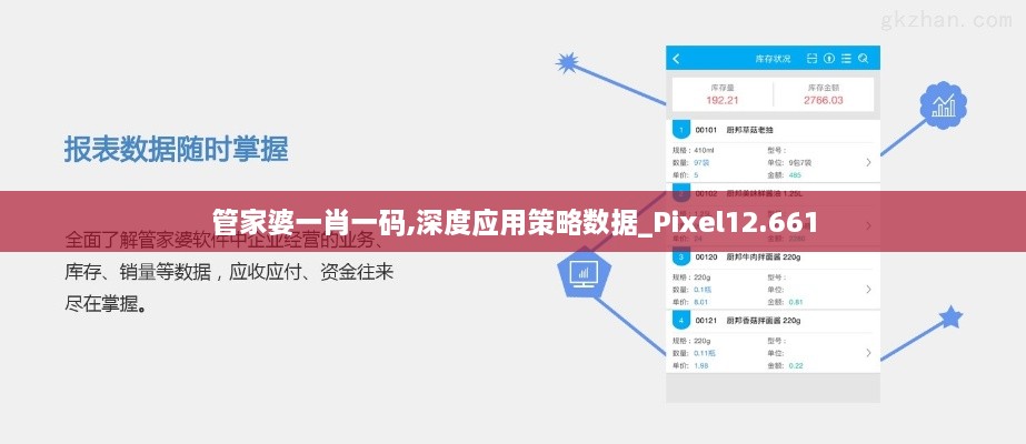 管家婆一肖一碼,深度應用策略數(shù)據(jù)_Pixel12.661