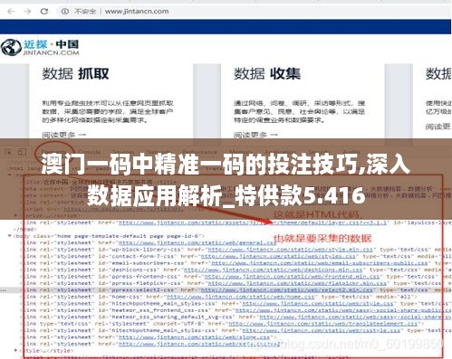 澳門(mén)一碼中精準(zhǔn)一碼的投注技巧,深入數(shù)據(jù)應(yīng)用解析_特供款5.416