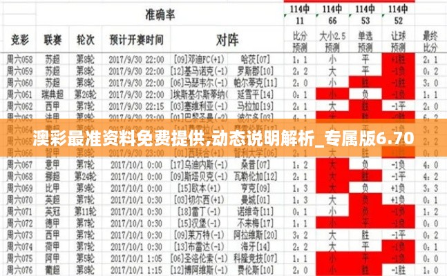 澳彩最準(zhǔn)資料免費提供,動態(tài)說明解析_專屬版6.700