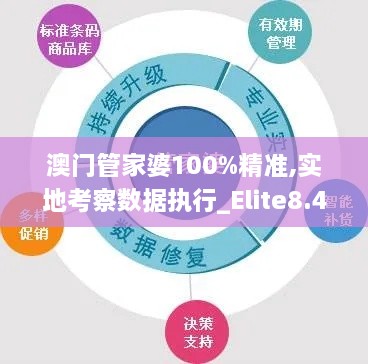 澳門管家婆100%精準,實地考察數(shù)據(jù)執(zhí)行_Elite8.438