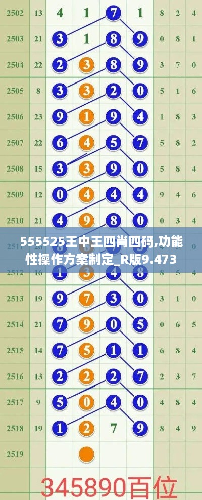 555525王中王四肖四碼,功能性操作方案制定_R版9.473