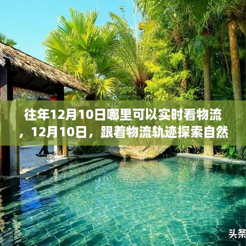 12月10日物流追蹤之旅，自然懷抱的心靈探索之旅