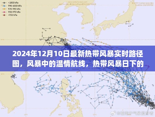 2024年熱帶風暴實時路徑圖，風暴中的溫情旅程與特殊旅程揭秘