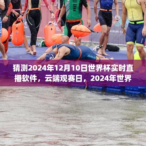 云端觀賽日，世界杯與直播軟件的奇妙之旅 2024年世界杯預測直播體驗