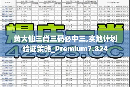 黃大仙三肖三碼必中三,實地計劃驗證策略_Premium7.824