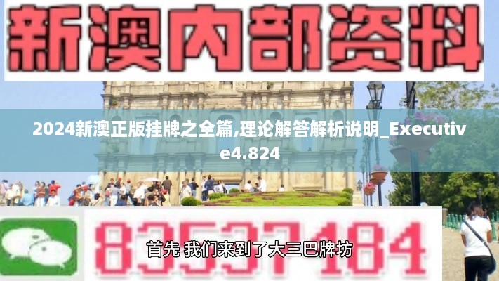 2024新澳正版掛牌之全篇,理論解答解析說(shuō)明_Executive4.824